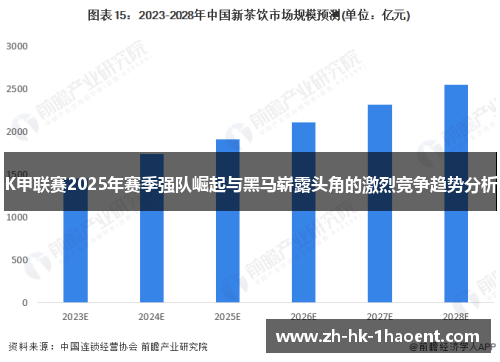 K甲联赛2025年赛季强队崛起与黑马崭露头角的激烈竞争趋势分析