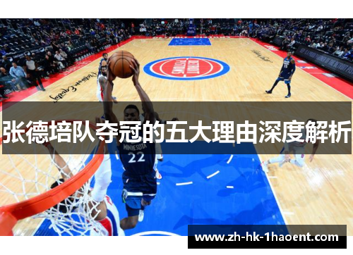 张德培队夺冠的五大理由深度解析