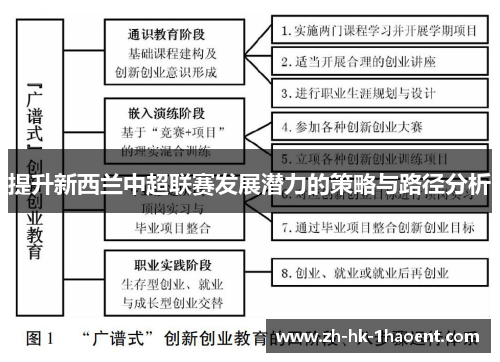 提升新西兰中超联赛发展潜力的策略与路径分析 提升新西兰中超联赛发展潜力的策略与路径分析