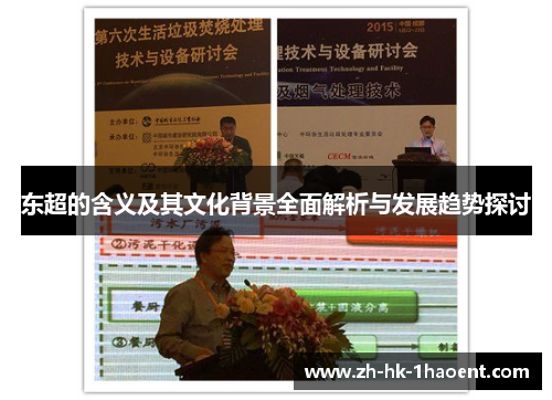 东超的含义及其文化背景全面解析与发展趋势探讨