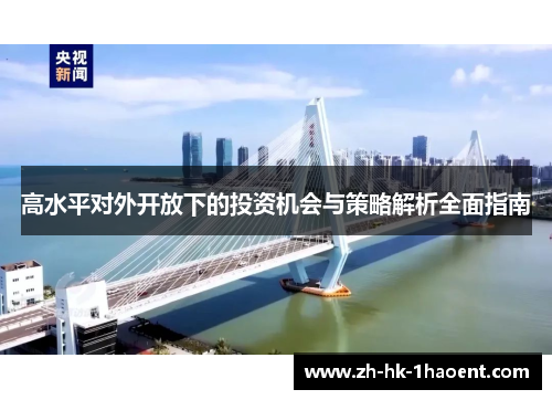 高水平对外开放下的投资机会与策略解析全面指南