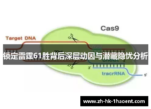 锁定雷霆61胜背后深层动因与潜藏隐忧分析 锁定雷霆61胜背后深层动因与潜藏隐忧分析
