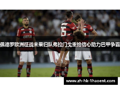 佩德罗欧洲征战未果归队弗拉门戈重拾信心助力巴甲争霸 佩德罗欧洲征战未果归队弗拉门戈重拾信心助力巴甲争霸