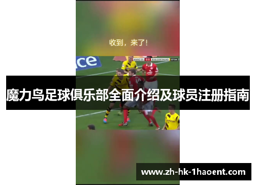 魔力鸟足球俱乐部全面介绍及球员注册指南