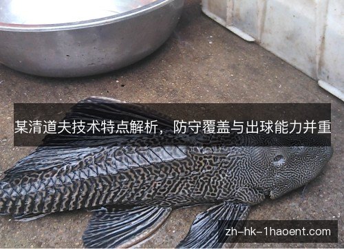 某清道夫技术特点解析,防守覆盖与出球能力并重 某清道夫技术特点解析,防守覆盖与出球能力并重